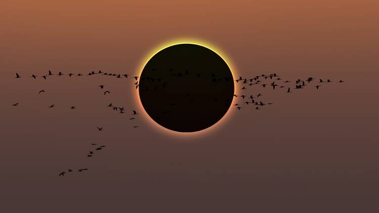 Solar eclipse