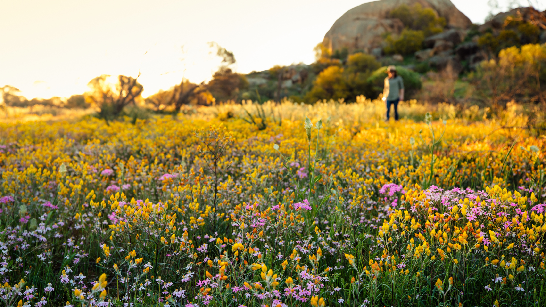 When is the best time to visit Australia? A seasonal guide
