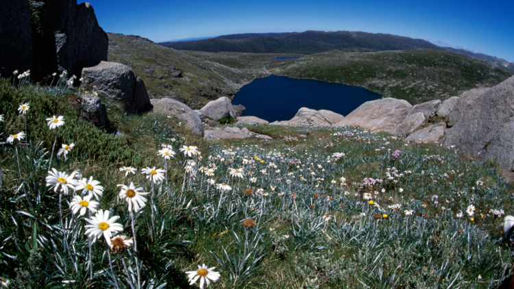 Snowy Mountains National Park