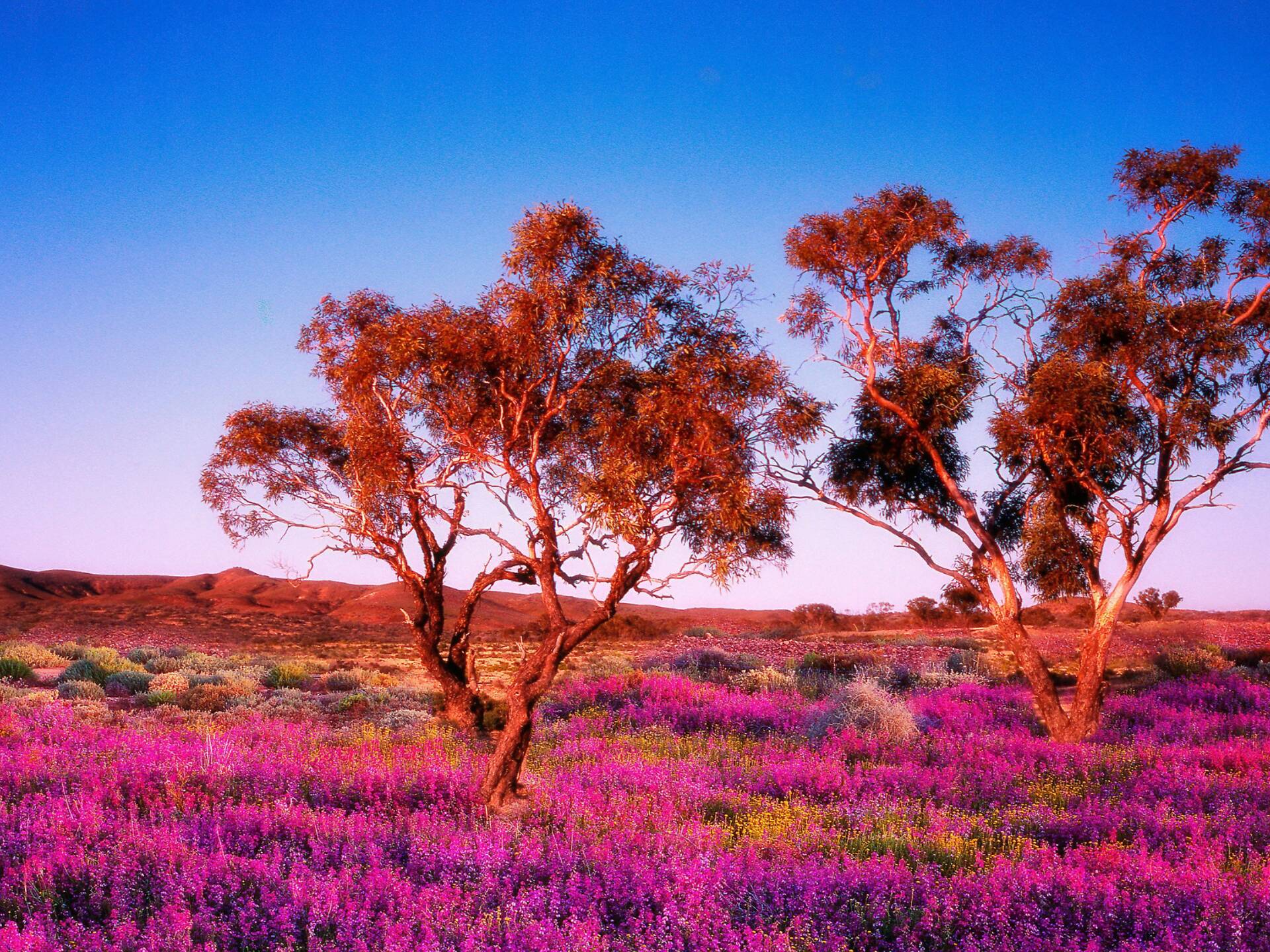 The 12 best places to visit in South Australia in 2025