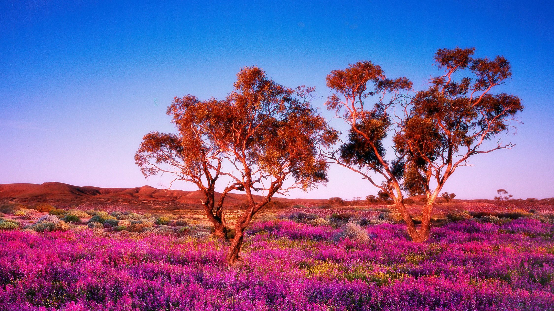 Where to visit in South Australia
