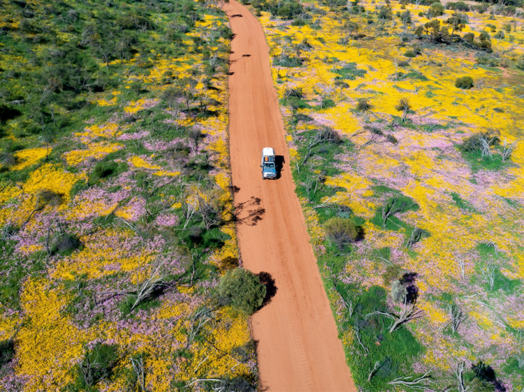 The Wheatbelt, WA