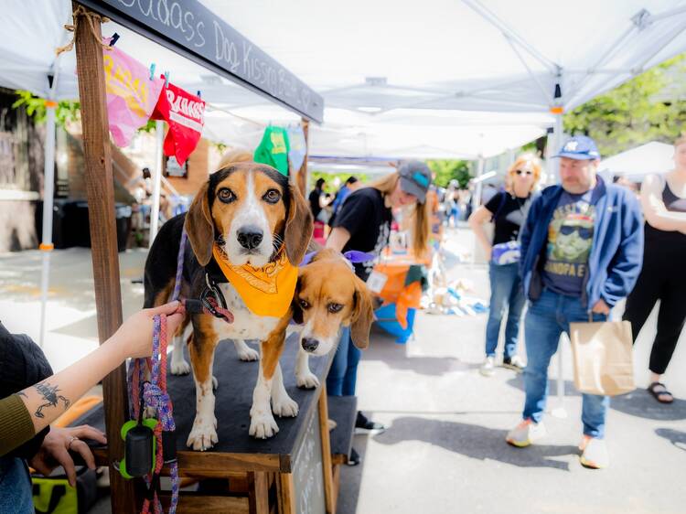 Trot over to Woofstock: Badass Spring Fest