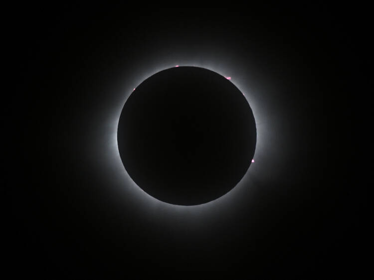 Así se vivió el eclipse solar en la CDMX