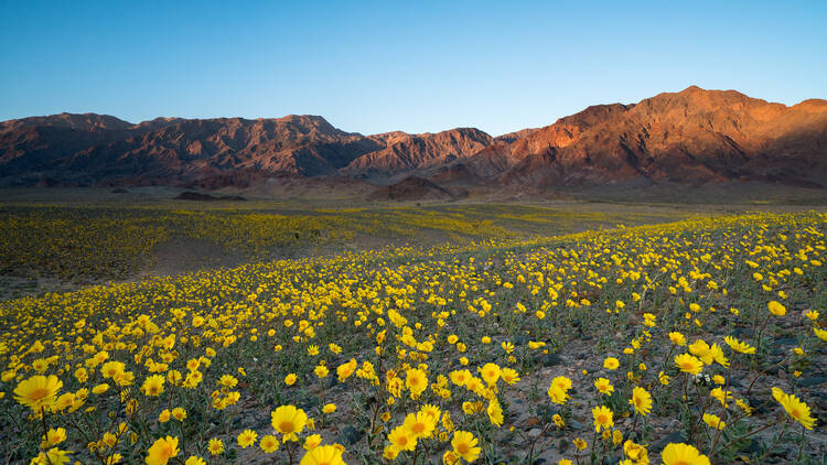 Death Valley National Park