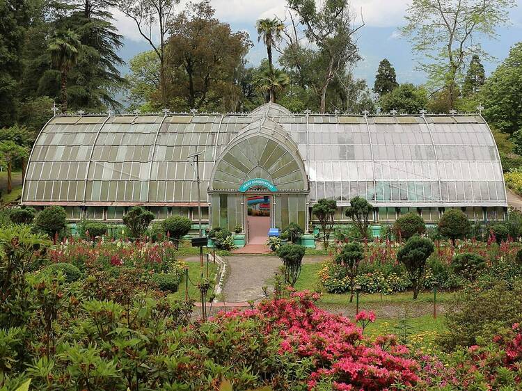 Lloyd’s Botanical Garden | Darjeeling, India