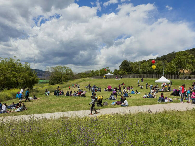 25 aniversario del Jardí Botànic