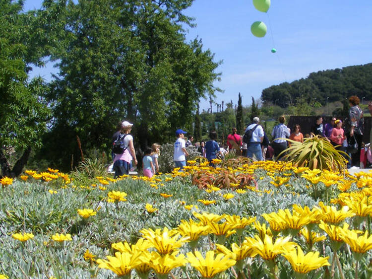 Olorar tot el planeta al Jardí Botànic