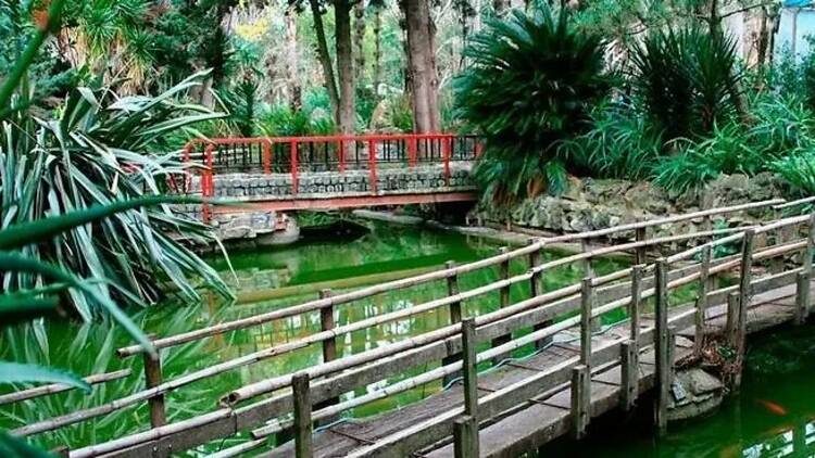Mizujo Campo Libre: Creole Farm with a Japanese Spirit