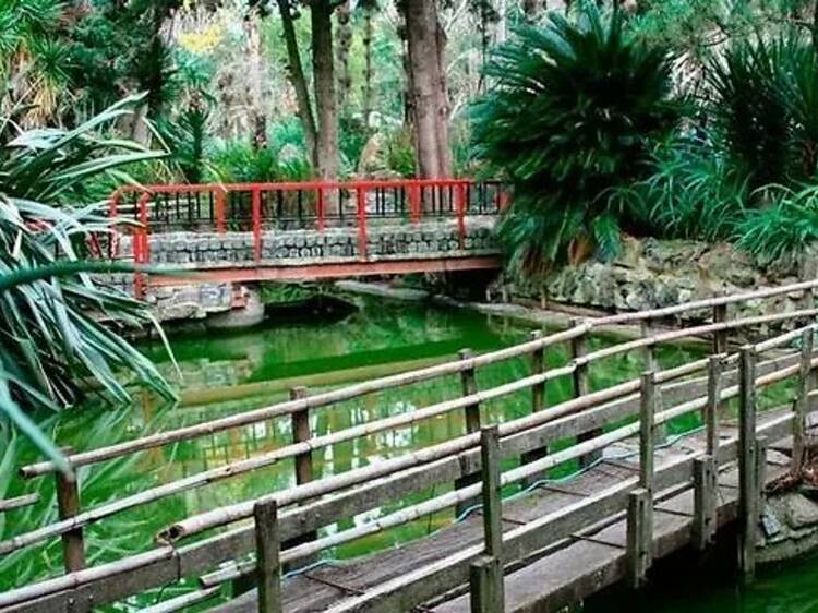 Mizujo Campo Libre: Creole Farm with a Japanese Spirit