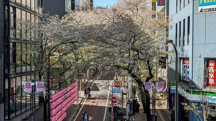 Sakuragaoka, Shibuya