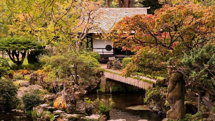 Japanese gardens in Ireland