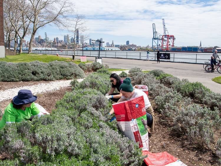 Earth Day Festival on Governors Island