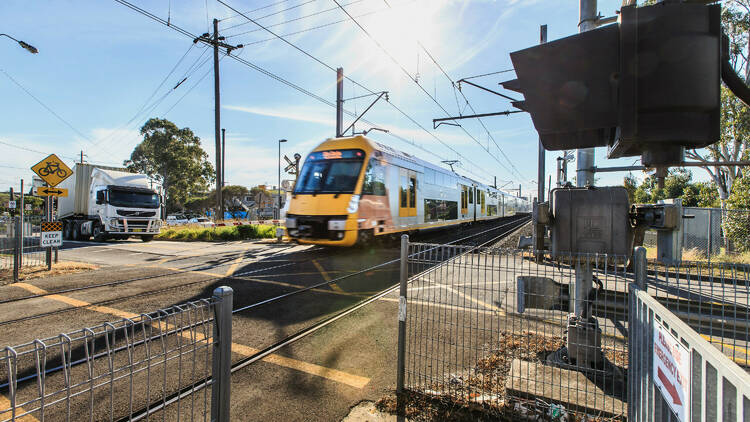 Waratah train passing by railway crossing in Western Sydney