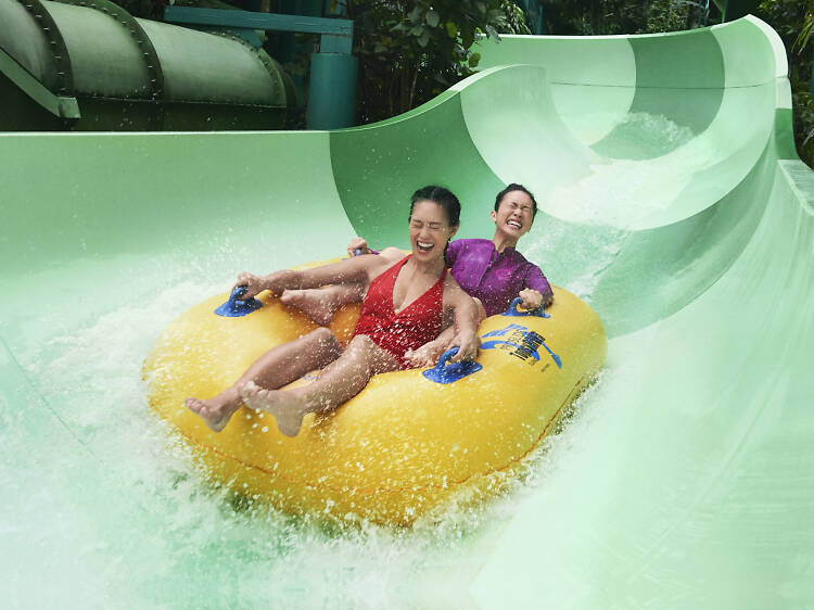 Adventure Cove Waterpark