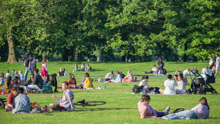 Warm, sunny weather in London’s Greenwich Park