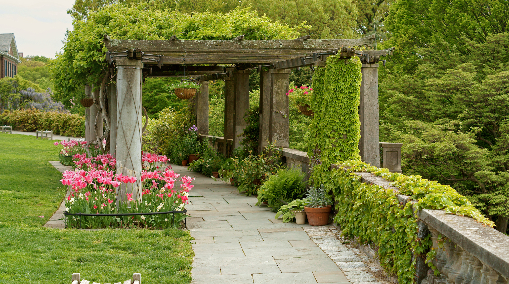 Pergola in spring. Wave Hill in Hudson Hill section of Riverdale in Bronx, New York City