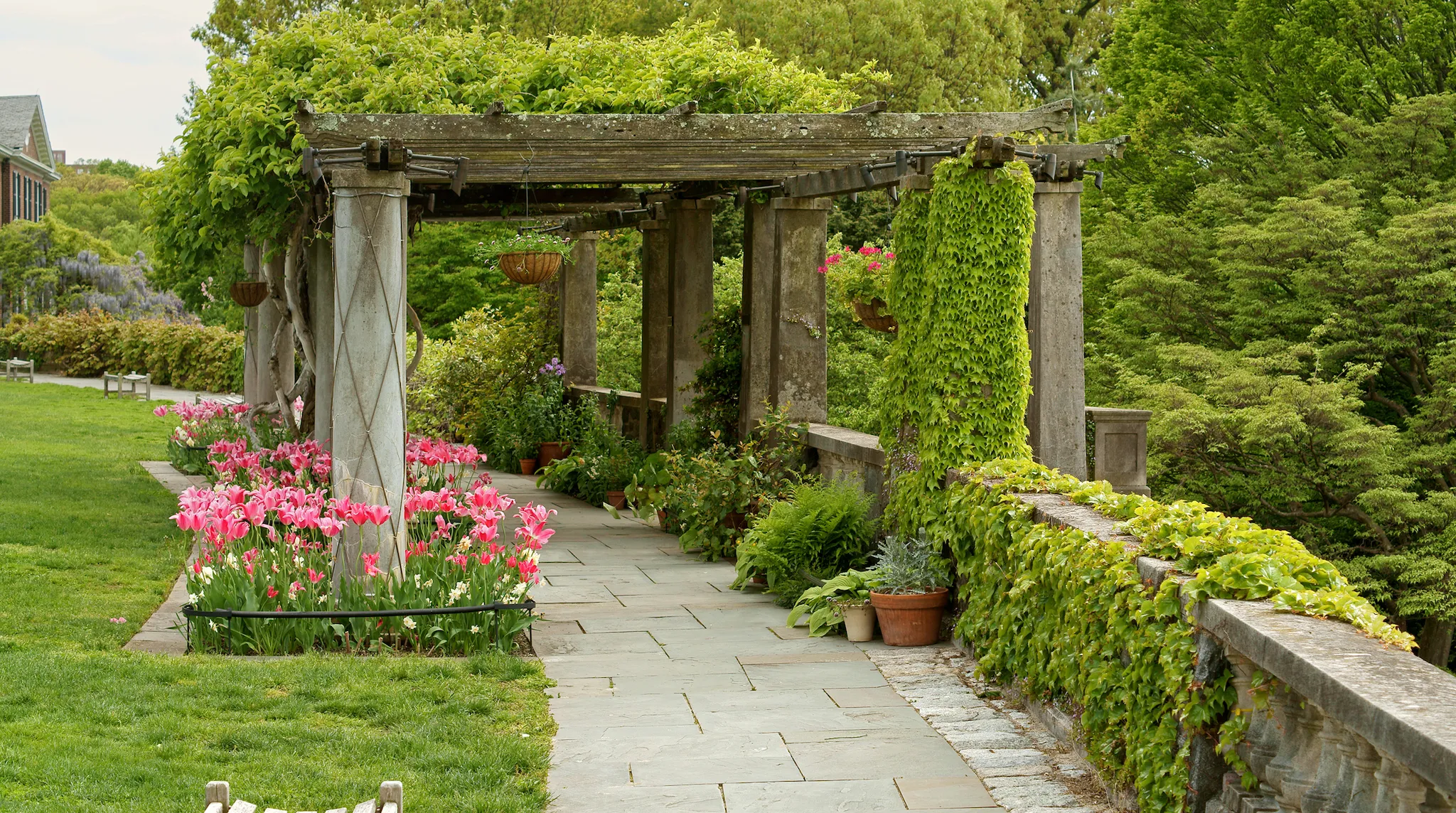 Pergola in spring. Wave Hill in Hudson Hill section of Riverdale in Bronx, New York City