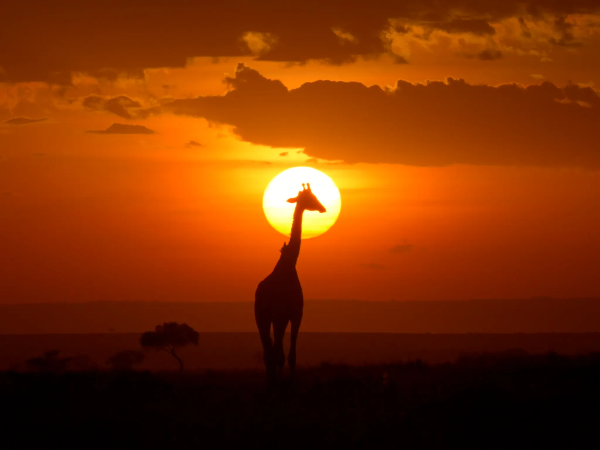 Ame and Dan in Africa