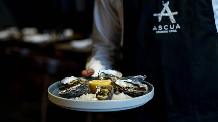 Plate of oysters