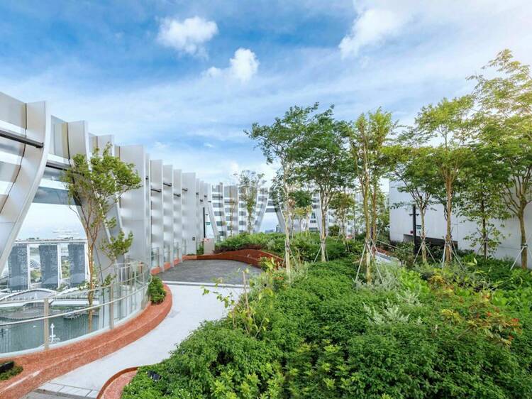 Take a break from the city at Sky Garden @ CapitaSpring