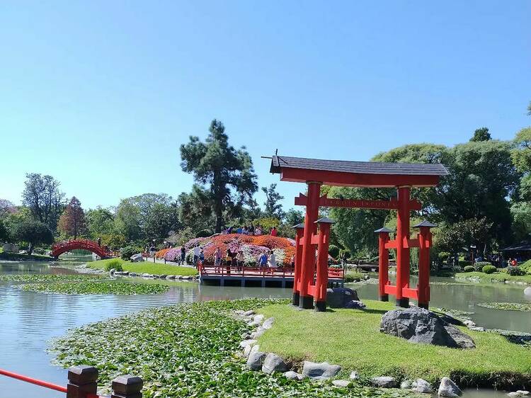 Sumergite en el El Jardín Japonés