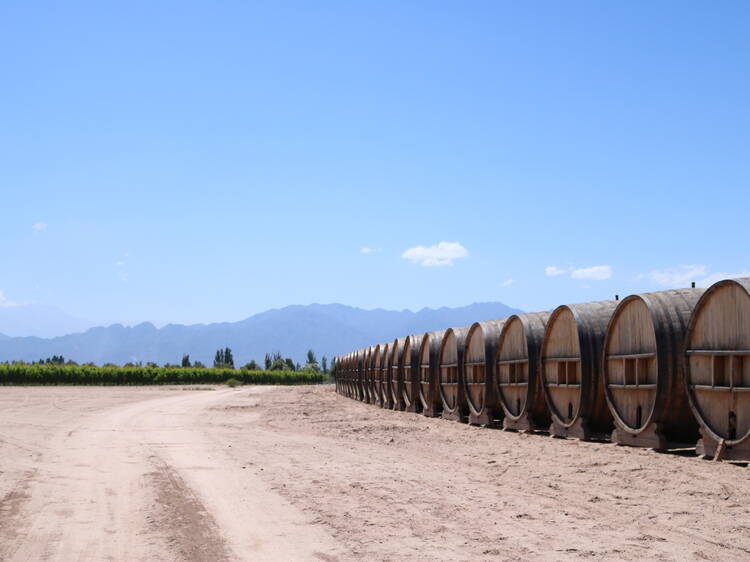 30 Unmissable experiences in Mendoza