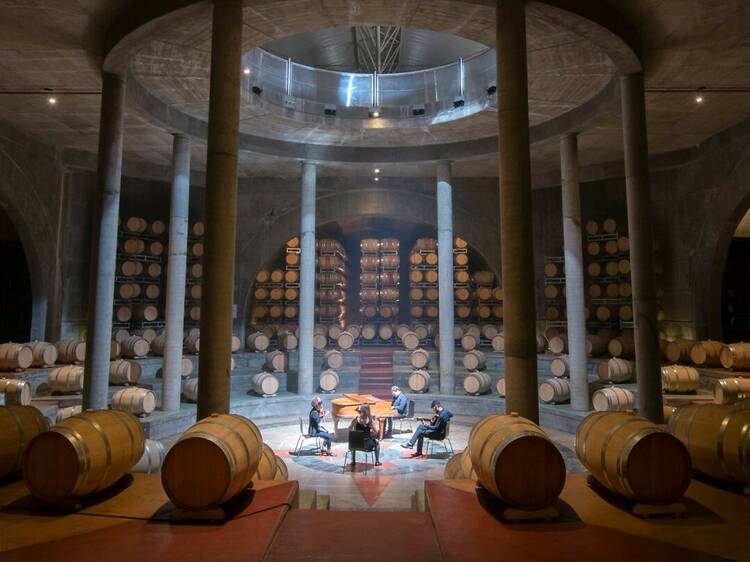 Explore the barrel room at Salentein Winery