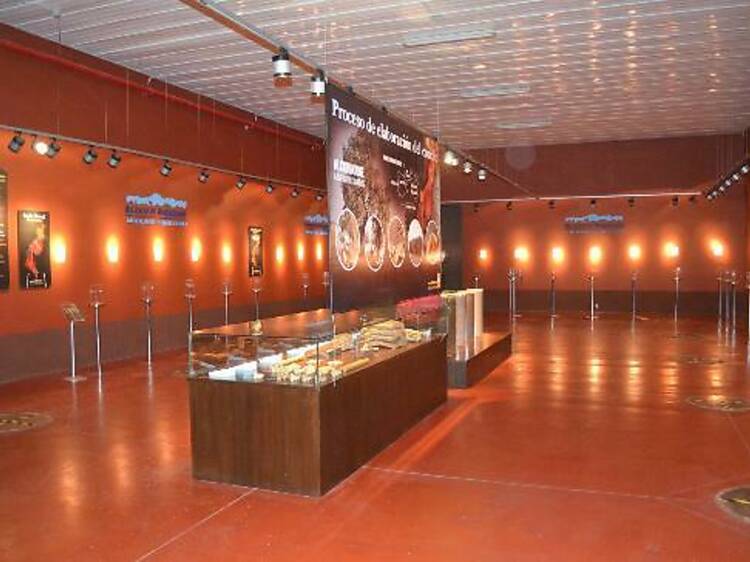 Visit the aroma room at Belasco de Baquedano winery
