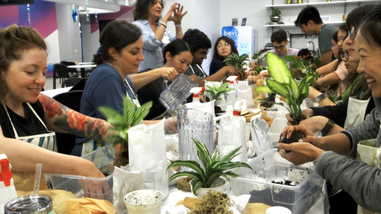 Terrarium & Plant Classes at Luludi Living Art