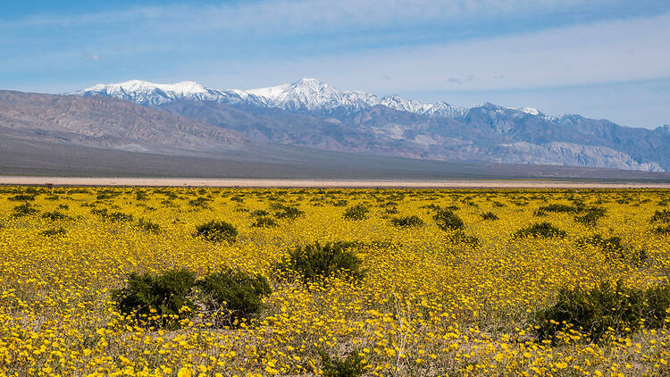 Death Valley National Park