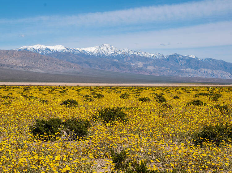 Death Valley National Park