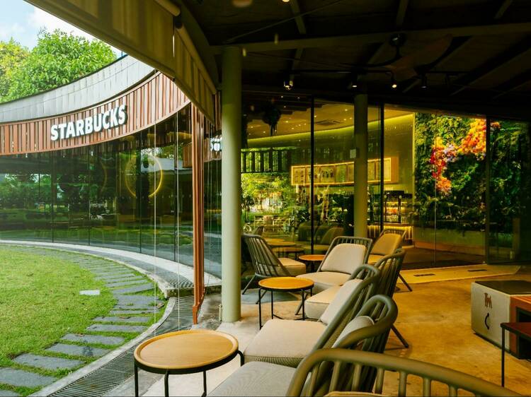 New pet-friendly Starbucks at Gardens by the Bay has 'Enchanted Forest' theme with rainbow-hued floral decor