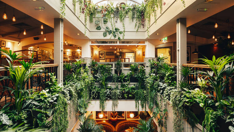 restaurant interior with lots of greenery