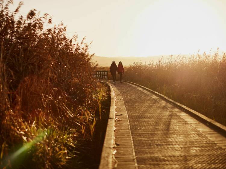 Tamar Island Wetlands Centre