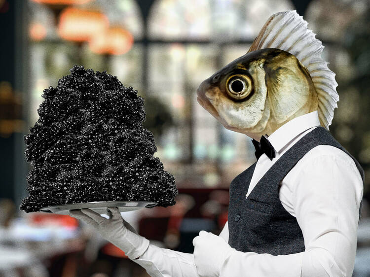 Opinion: why caviar should never be a 'thing'