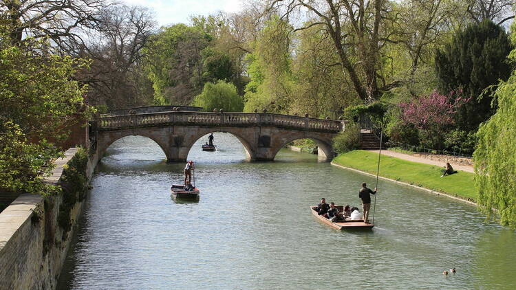 Punting down the River Cam