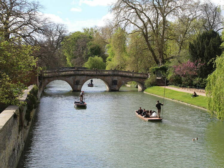 Punt down the River Cam