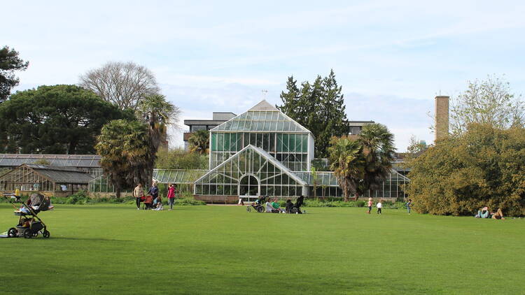 Immerse yourself in greenery at the Botanic Gardens