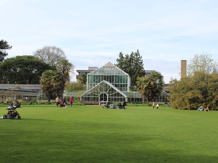 Immerse yourself in greenery at the Botanic Gardens