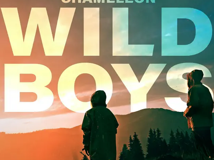 Chameleon: Wild Boys