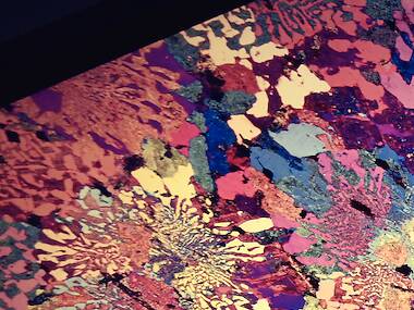 WA Museum Boola Bardip WA Museum Boola Bardip