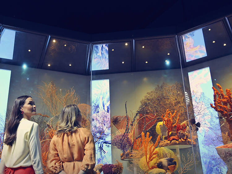 WA Museum Boola Bardip, WA