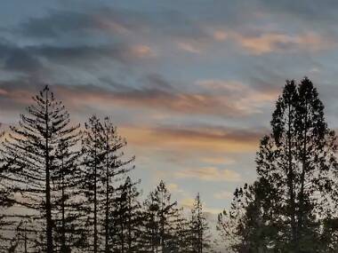 The 14 best Airbnbs in Napa The 14 best Airbnbs in Napa