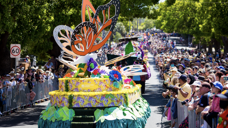 Have a bloomin’ good time at the Toowoomba Carnival of Flowers