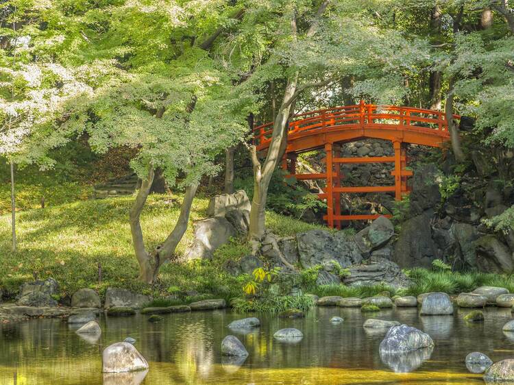 Enjoy free entry at these Tokyo attractions on Greenery Day May 4