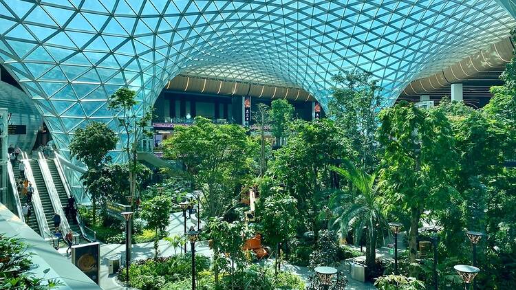 Doha airport in Qatar, March 2023, tropical plants