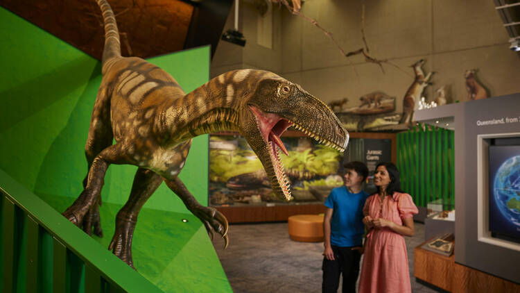 Check out the dinosaurs at Queensland Museum