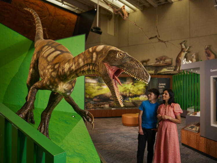 Check out the dinosaurs at Queensland Museum