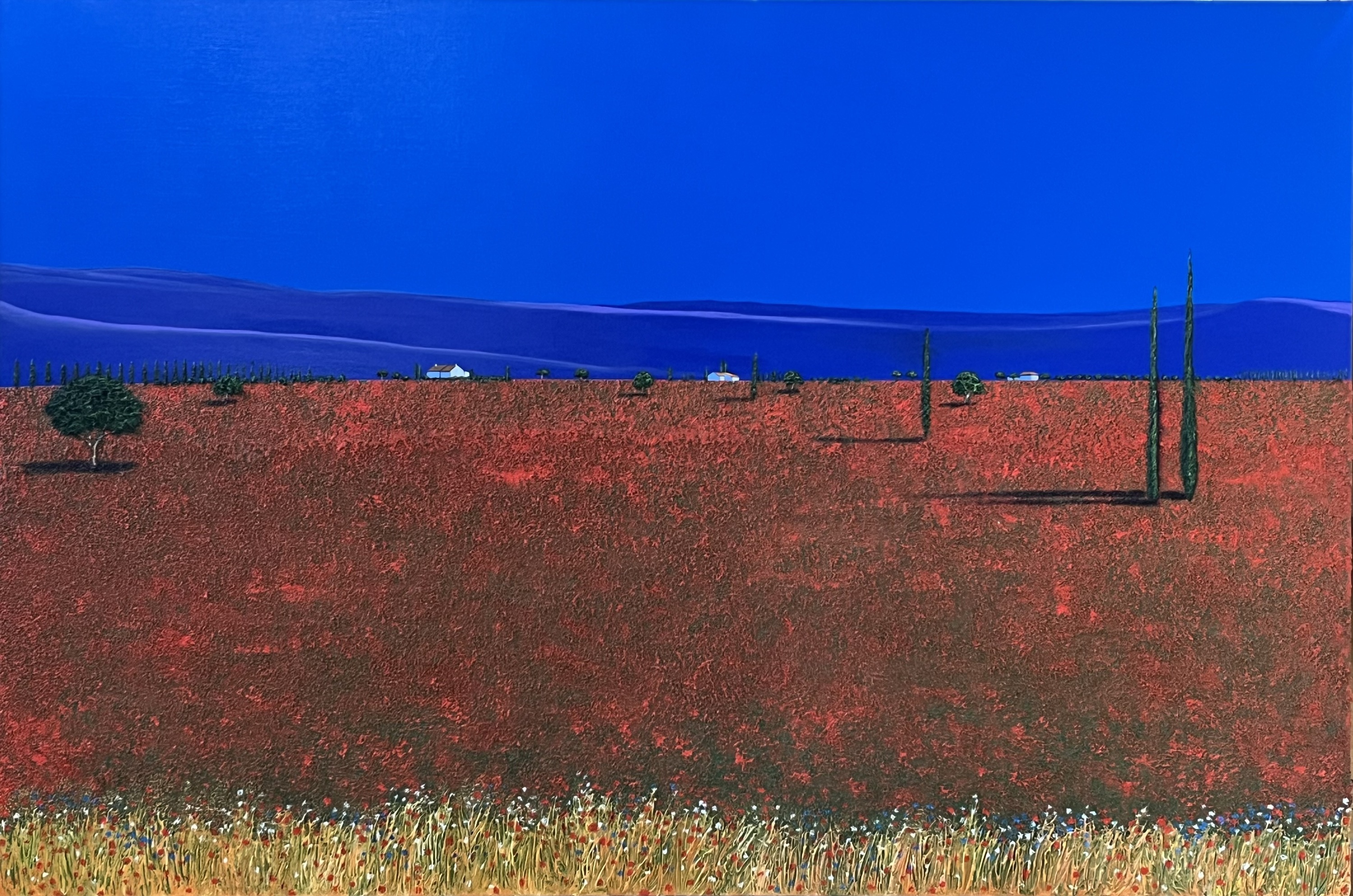 Tuscan Poppies 100x150cm